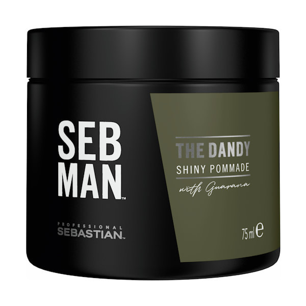 SEB MAN The Dandy Shiny Pommade