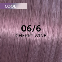 Wella Shinefinity Glaze 06/6 Cherry Wine
