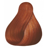 4x Wella Professionals Color Touch Plus 55/03 Hellbraun Intensiv Natur Gold – Je 60 Ml