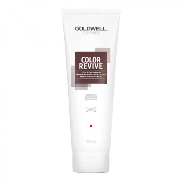 Goldwell Dualsenses Color Revive Shampoo Cool Brown