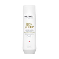 Goldwell Dualsenses Rich Repair Restoring Shampoo Goldwell Dualsenses Rich Repair Restoring Shampoo