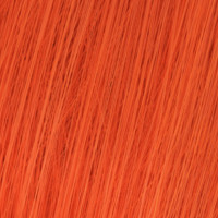 Wella Koleston Perfect Me+ Vibrant Reds 99/44 lichtblond intensiv rot-intensiv