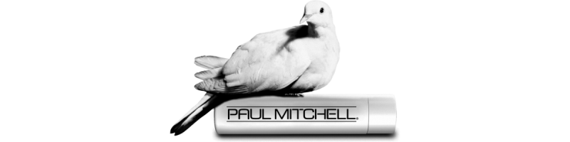 media/image/paulb_banner.png